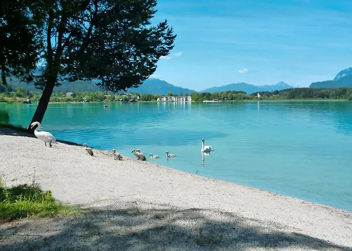 Guest house Stissen Haus Am